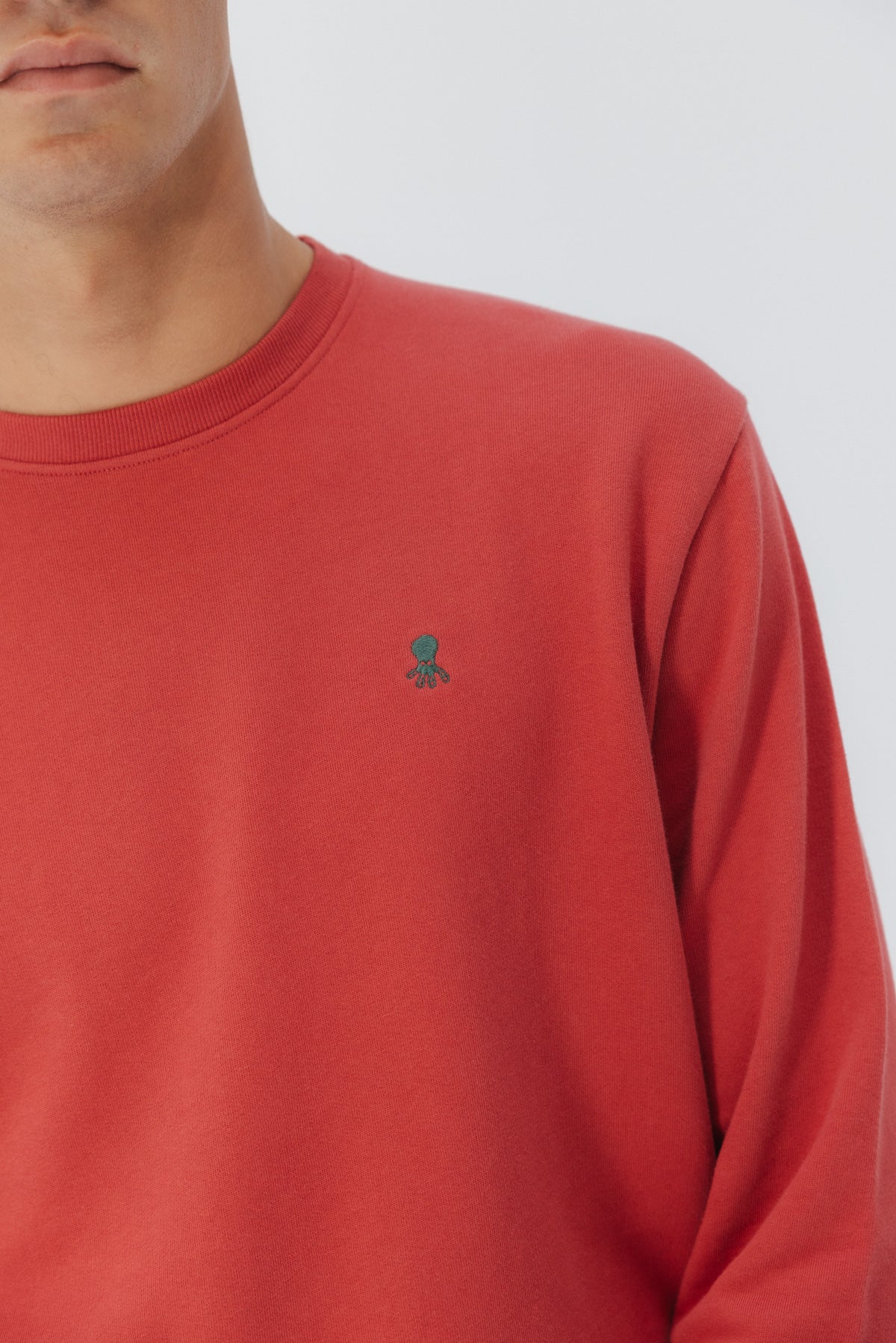 SUDADERA BORDADO CONTRASTE ROJO DELAVÉ - Image 2